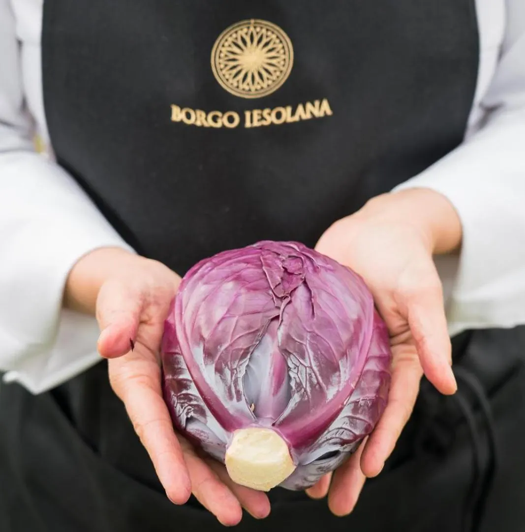 Affittacamere Borgo Iesolana Bucine Italia