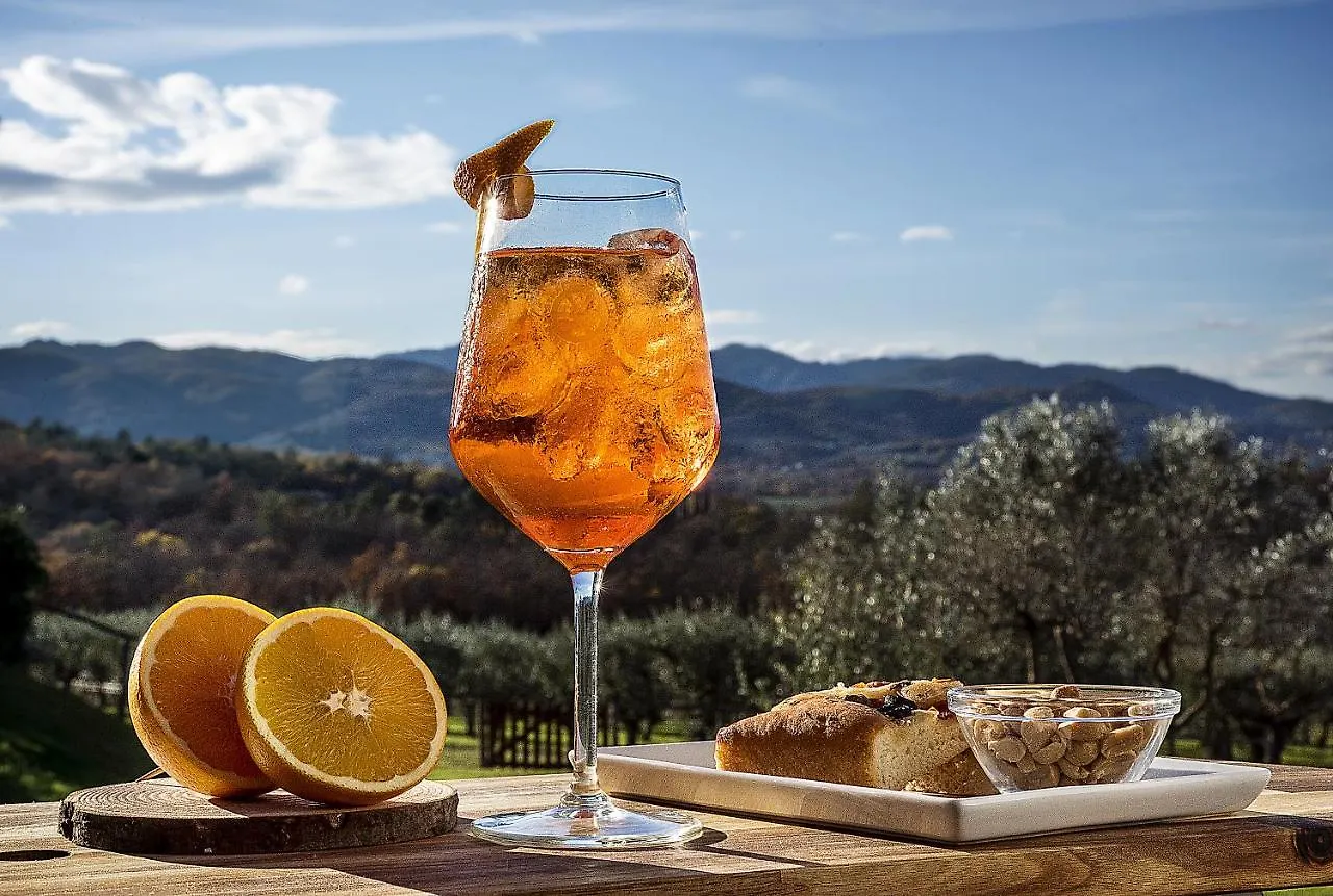 Borgo Iesolana Guest House Bucine 0*,